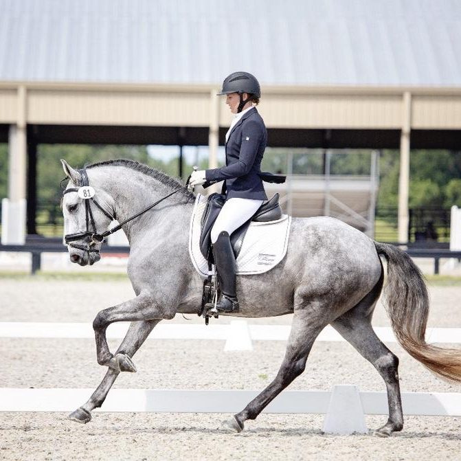 brec-dressage-102018-006