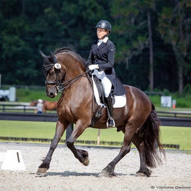 brec-dressage-102018-018