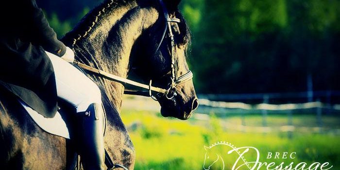 brec-dressage-horse-farm-ocala-photo-1