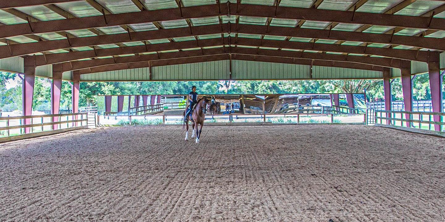 brec-dressage-photos-1