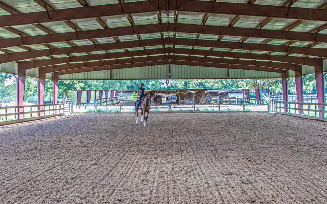 brec-dressage-photos-1